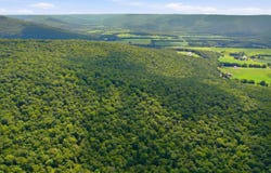 252 Acres County Road 106, Paint Rock, AL 35764