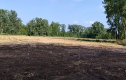 V/L 60 1/2 Street, Bangor, MI 49013