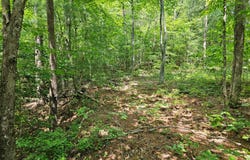 Harris Ridge Drive, Ellijay, GA 30540
