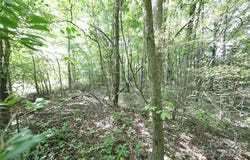 3824 Winchester Road, Monroe, NC 28110