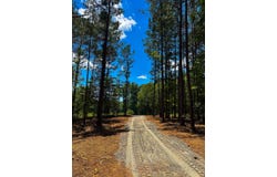 0 Joe Oulla Road, Ware Shoals, SC 29692