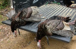 Tribble Rd, MS 38848