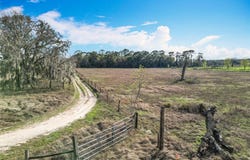 0 NW 122ND AVENUE, OXFORD, FL 34484