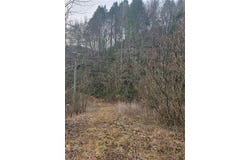 00 Elk Creek Darby Road, Ferguson, NC 28624