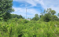 85 Maggie Lane, Makanda, IL 62958