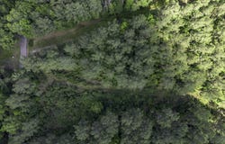Steel Creek Road, Georgetown, MS 39078