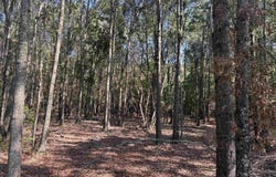 McRae, AR 72102