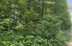 Lot 56-60 Cedar Drive, Nancy, KY 42544