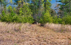 2660 Playmore Beach Road, Lenoir, NC 28645
