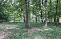 1647 Boone Hollow Road, Battletown, KY 40104