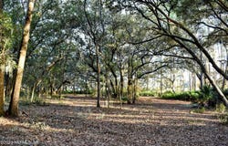 249 SIMPSON Drive, Interlachen, FL 32148