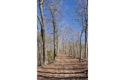 284 Blaines Branch Road, Beattyville, KY 41311