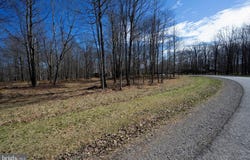 36 FERN Loop, MC HENRY, MD 21541