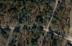 Tbd NE 11TH PLACE, WILLISTON, FL 32696