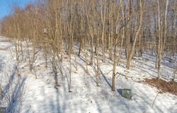 LOT 1 CHERRYWOOD DRIVE, OAKLAND, MD 21550