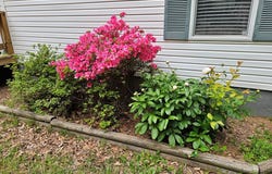 981 Scotts Bottom Rd, Dillwyn, VA 23936