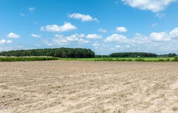 000 Oberry Road, Dudley, NC 28333