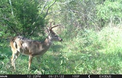 3324 County Road 3206, Dawson, TX 76639
