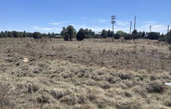 2278 Meadow Lane, Overgaard, AZ 85933