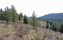 Nhn Brookes Drive, Rexford, MT 59930