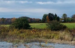 11165 Lynchburg Road, Kensington, OH 44427