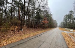 Tbd King Sebastion Road, Scroggins, TX 75480