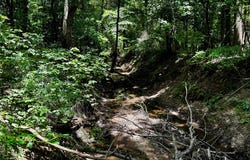 County Road 1240, Pittsburg, TX 75686