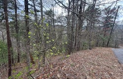 Lot 007b Shagbark Hickory Ridge, Sevierville, TN 37862