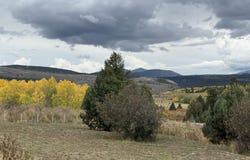 Cow Camp dr, Bancroft, ID 83217