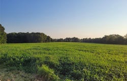 Hwy DD (46+/- Ac) Tract F, Bellflower, MO 63333