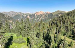 Road 51, Silverton, CO 81433