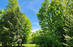 VACANT LAND Brakeman Road, OH 44077
