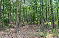 505 Yates Lane, Tumbling Shoals, AR 72546