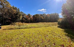 LOT 1 GREAT COVE ROAD, FORT LITTLETON, PA 17223