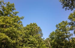 0 England Cemetery Trail, Mammoth Spring, AR 72554
