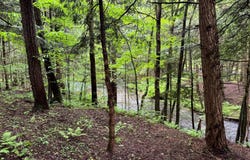 1.5 Jones Road, German, NY 13801