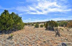 38 WEATHERSBY Drive, Edgewood, NM 87015