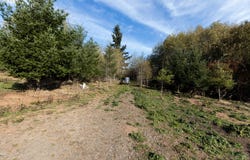 Palm Creek Rd, Clatskanie, OR 97016