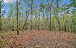 287 Lookout Valley Trail, Talking Rock, GA 30175