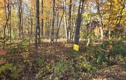 9160 Kingsley Drive, Onsted, MI 49265