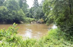 3042 Brandi Road, Summit, MS 39666