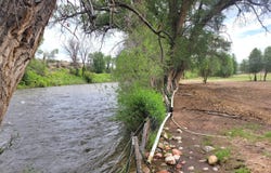 411 Violet Lane, Eagle, CO 81631