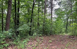 198 Log Round Mountain Trail, Ellijay, GA 30540