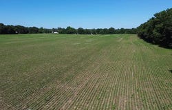 US Hwy 641, Murray, KY 42071