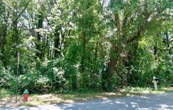 1145 Dowell Street, COOKEVILLE, TN 38501