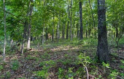 3293 Highway 5, Mansfield, MO 65704