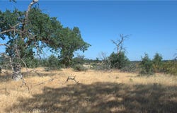 0 Small Farms Drive, Igo, CA 96047
