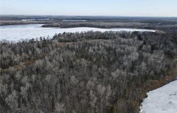 Tbd East Stone Lake Road, Ellsburg Twp, MN 55751
