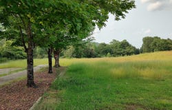 20 MILL CREEK ROAD, WARRIOR, AL 35180