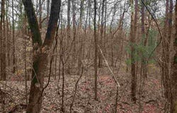 Lot #1 N Cory Staunton Road, Brazil, IN 47834